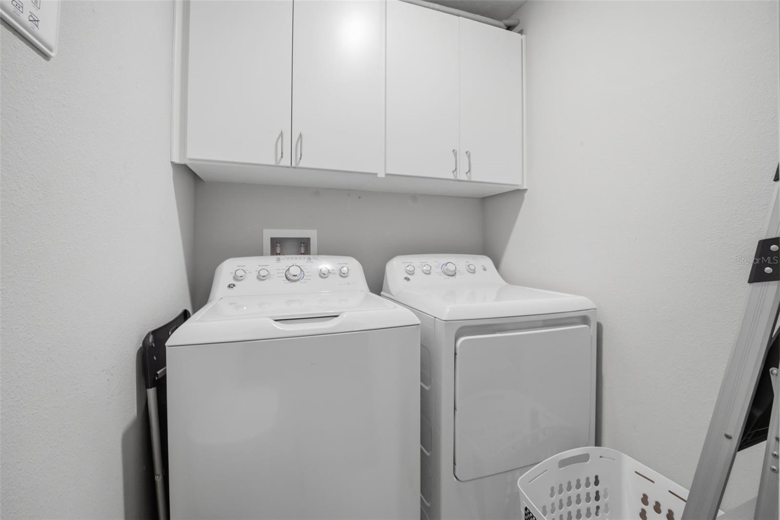 4459 GLOBE THISTLE DR