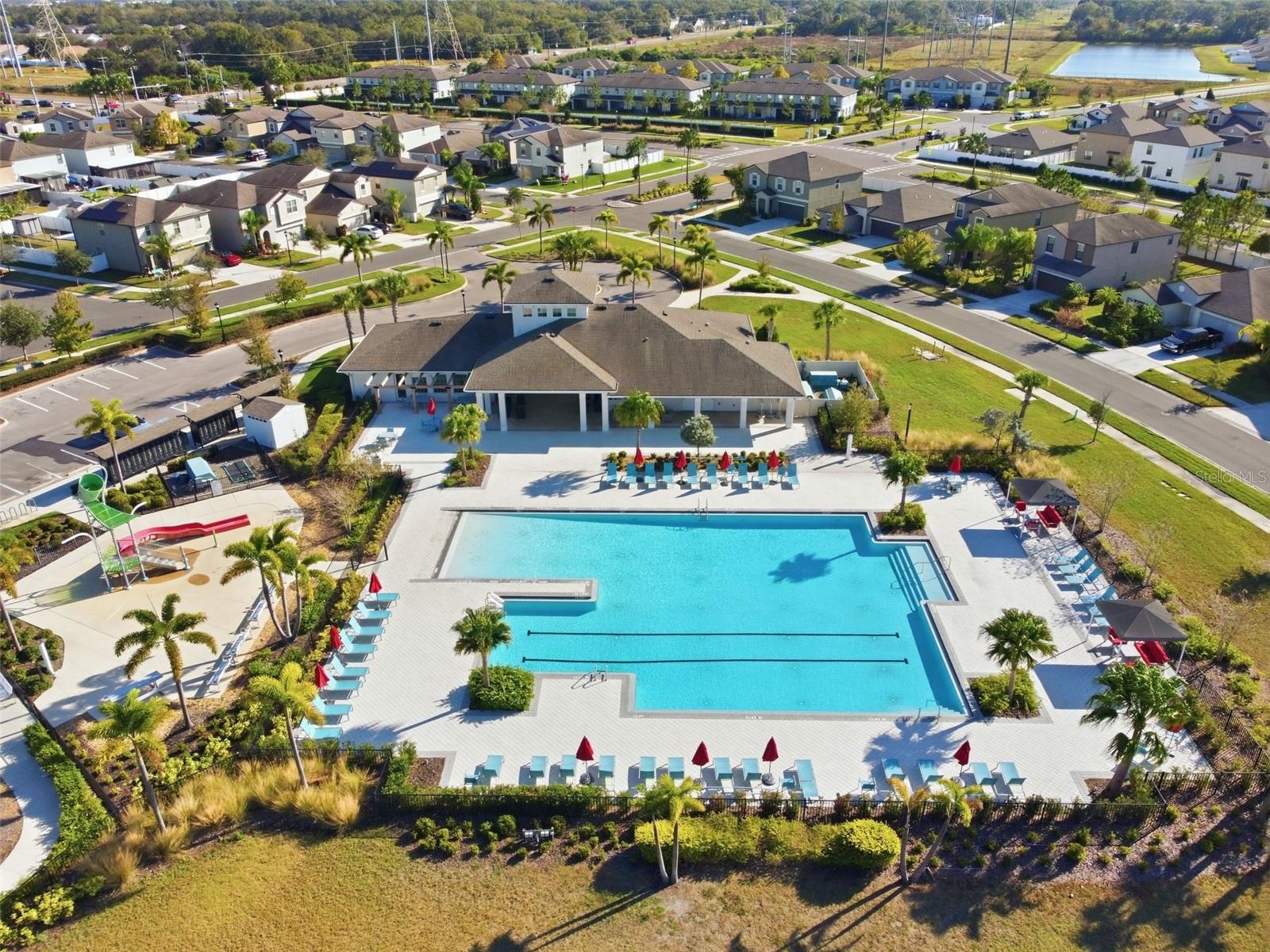 4459 GLOBE THISTLE DR