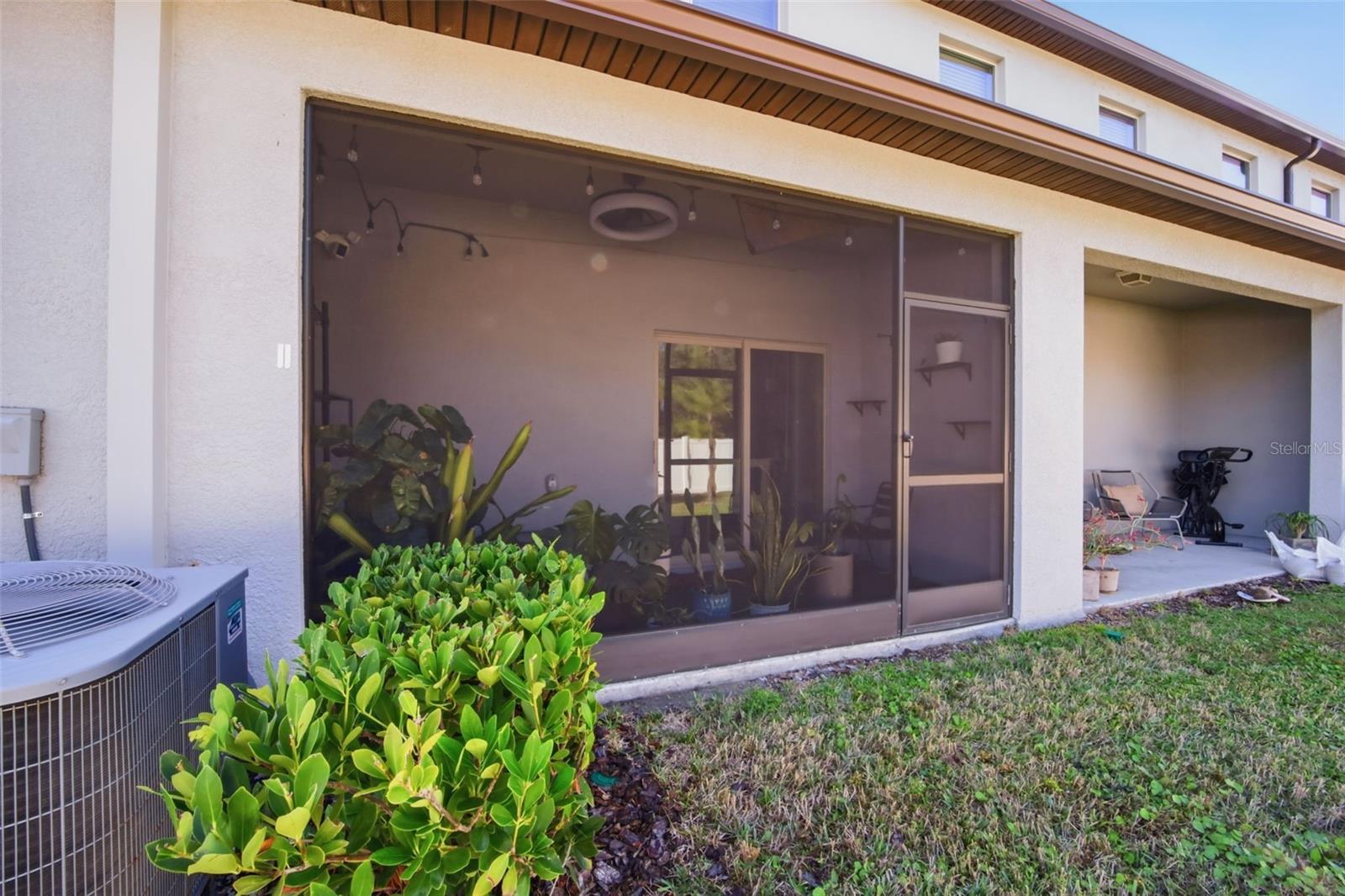 4459 GLOBE THISTLE DR