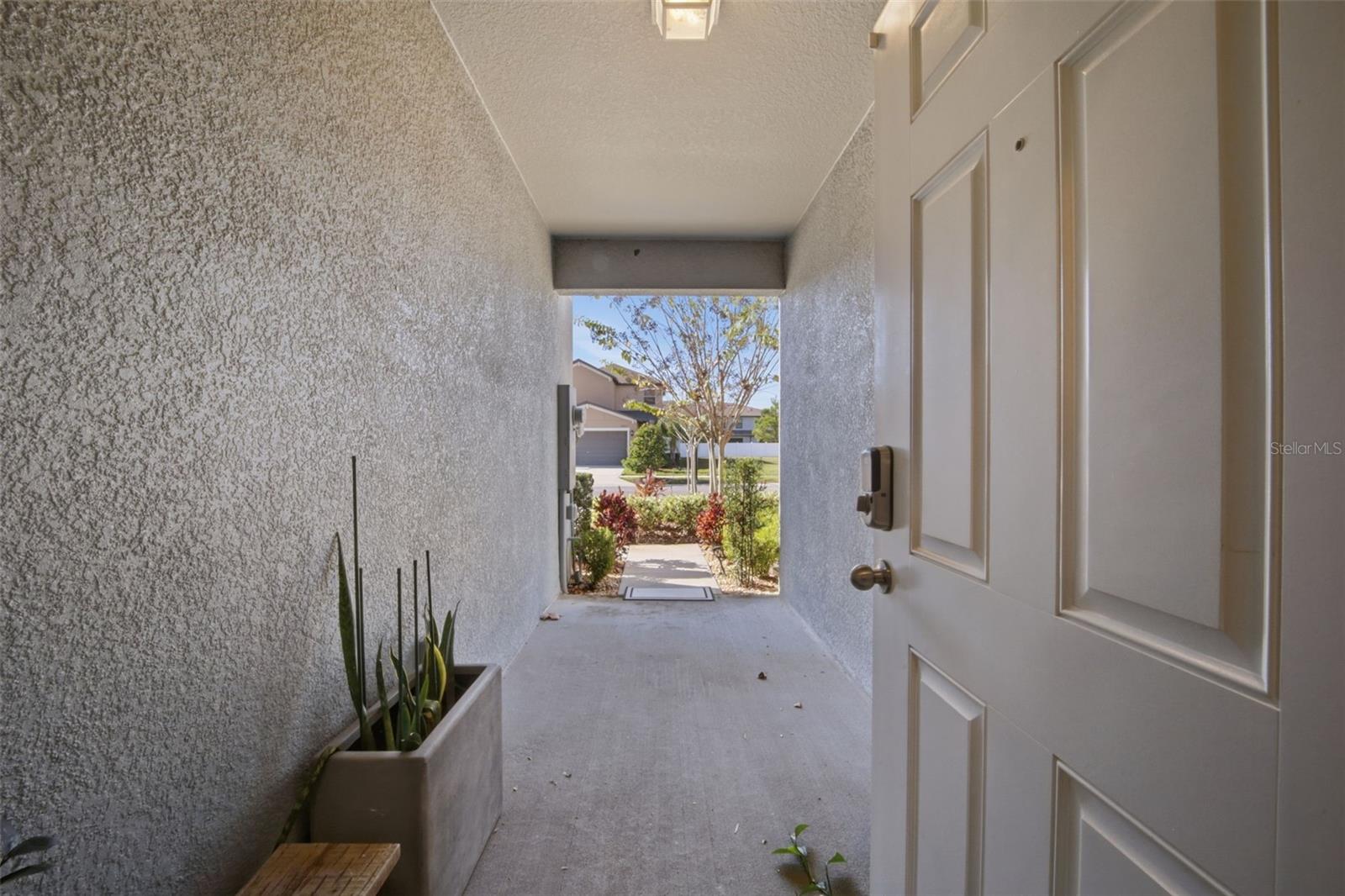 4459 GLOBE THISTLE DR