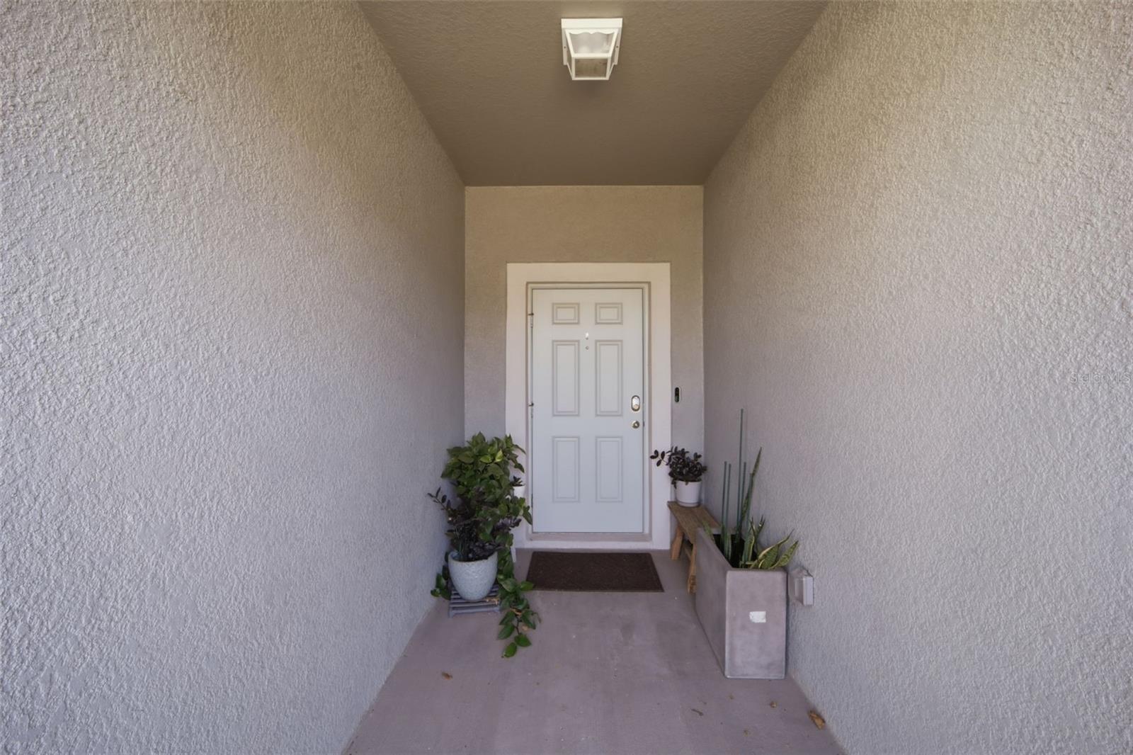 4459 GLOBE THISTLE DR