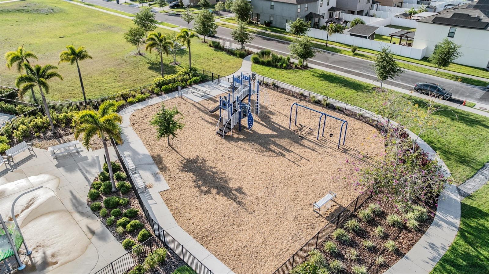 4459 GLOBE THISTLE DR