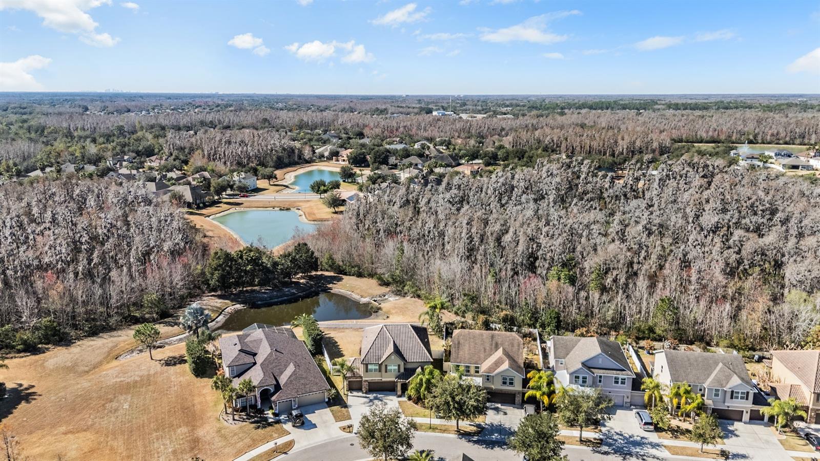 19230 PEPPER GRASS DR