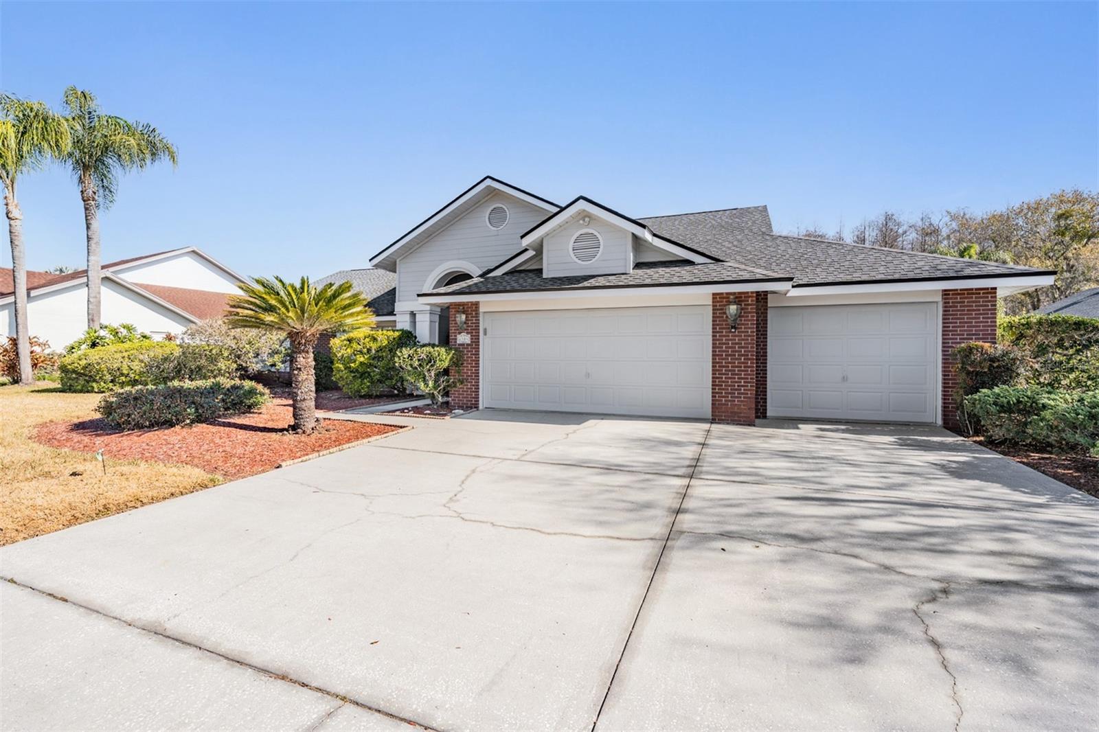 6504 THOROUGHBRED LOOP