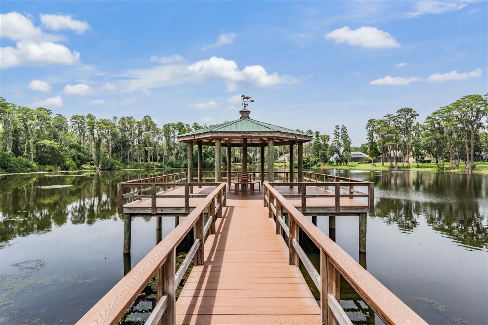 6504 THOROUGHBRED LOOP