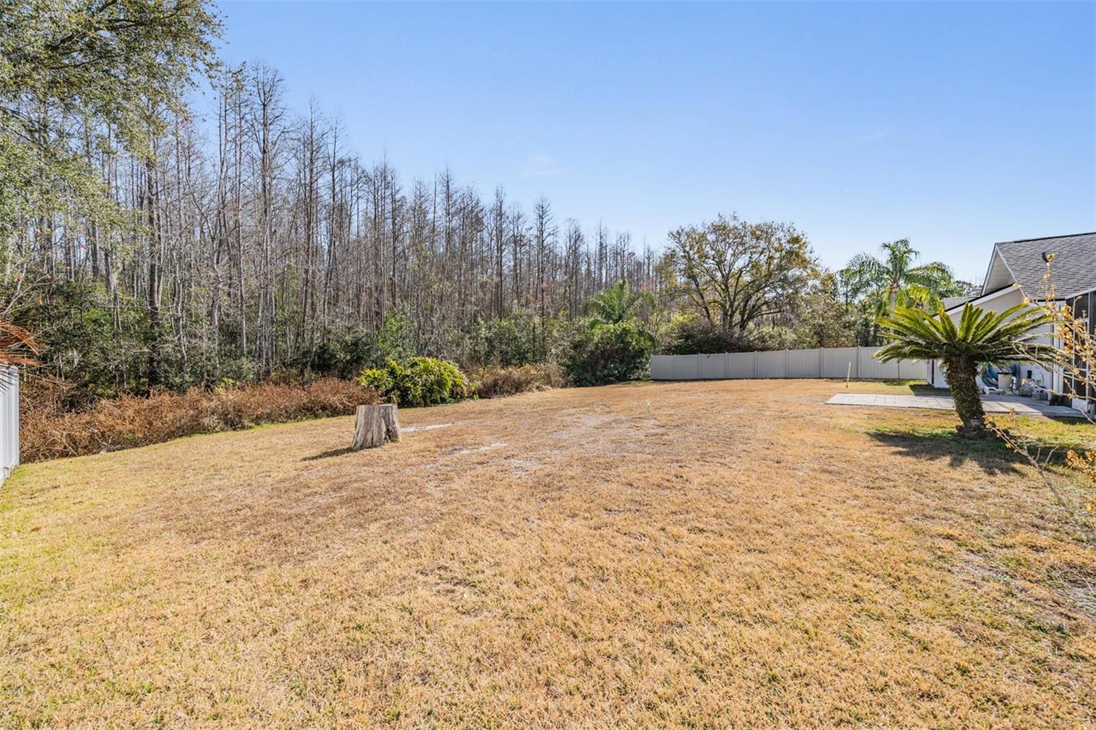 6504 THOROUGHBRED LOOP