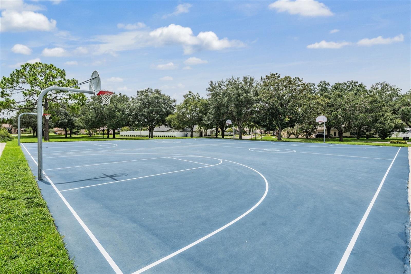 6504 THOROUGHBRED LOOP