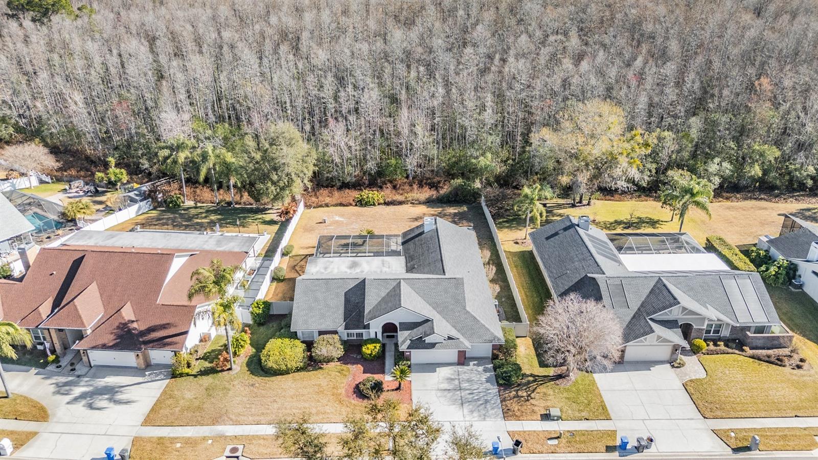 6504 THOROUGHBRED LOOP