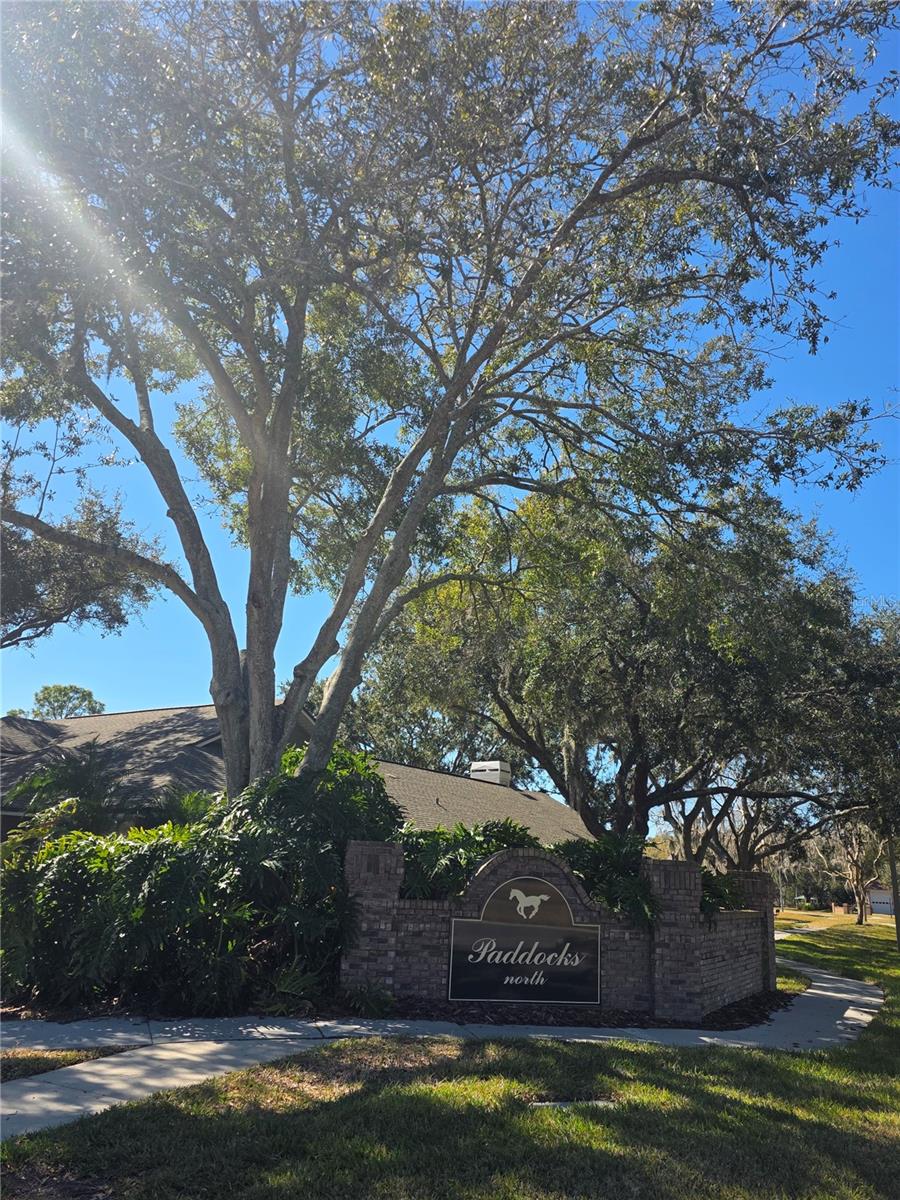 6504 THOROUGHBRED LOOP