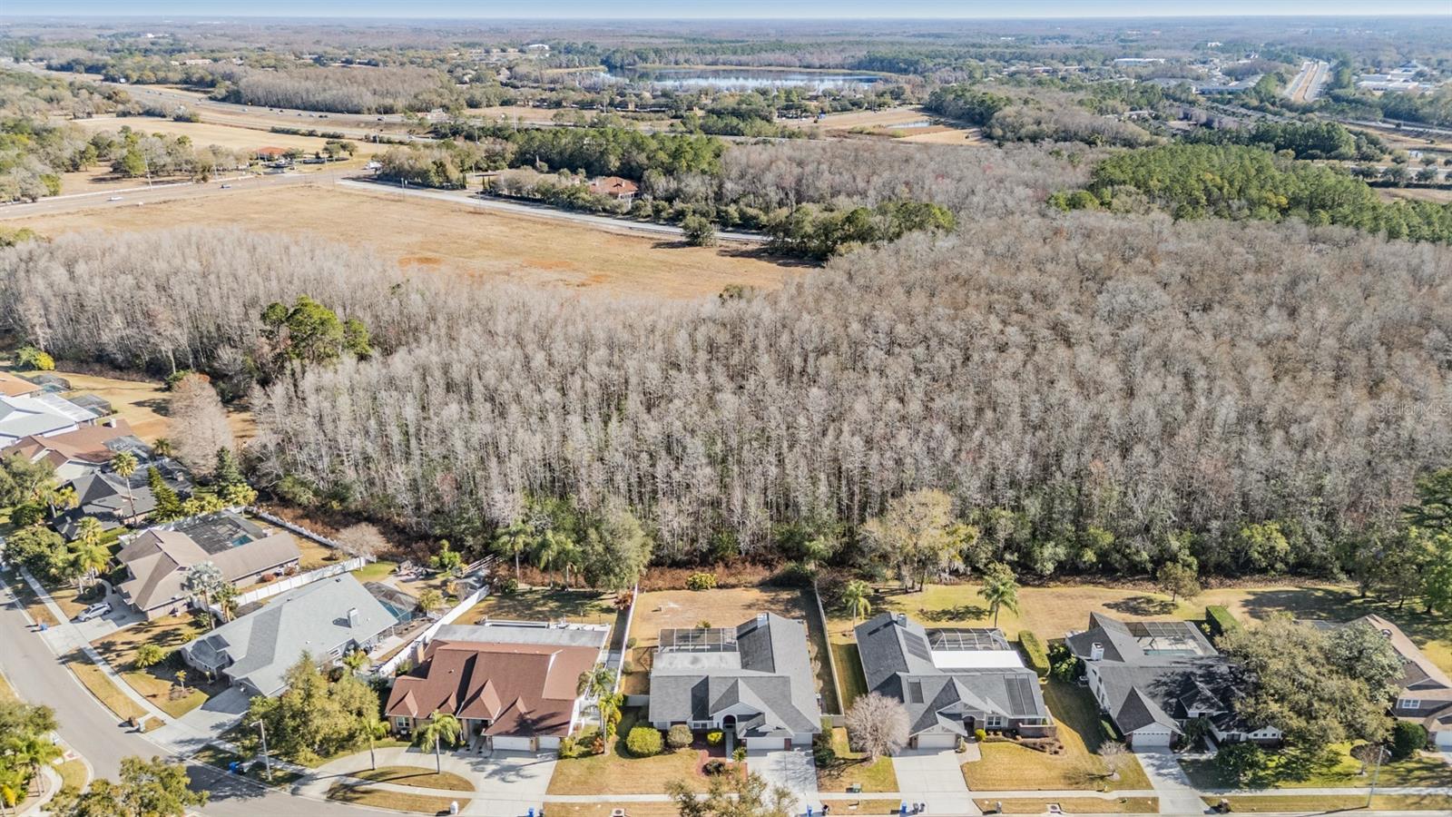 6504 THOROUGHBRED LOOP