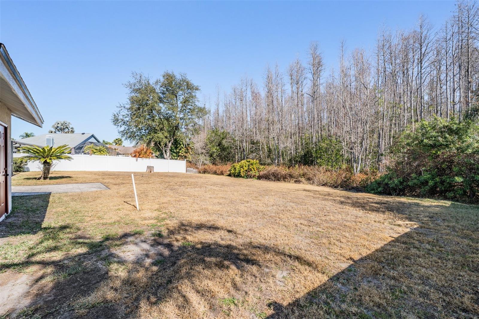 6504 THOROUGHBRED LOOP