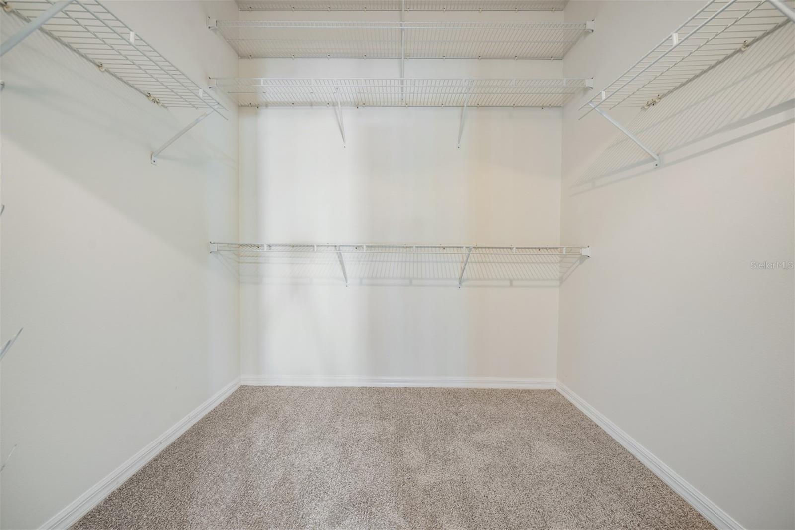 6504 THOROUGHBRED LOOP