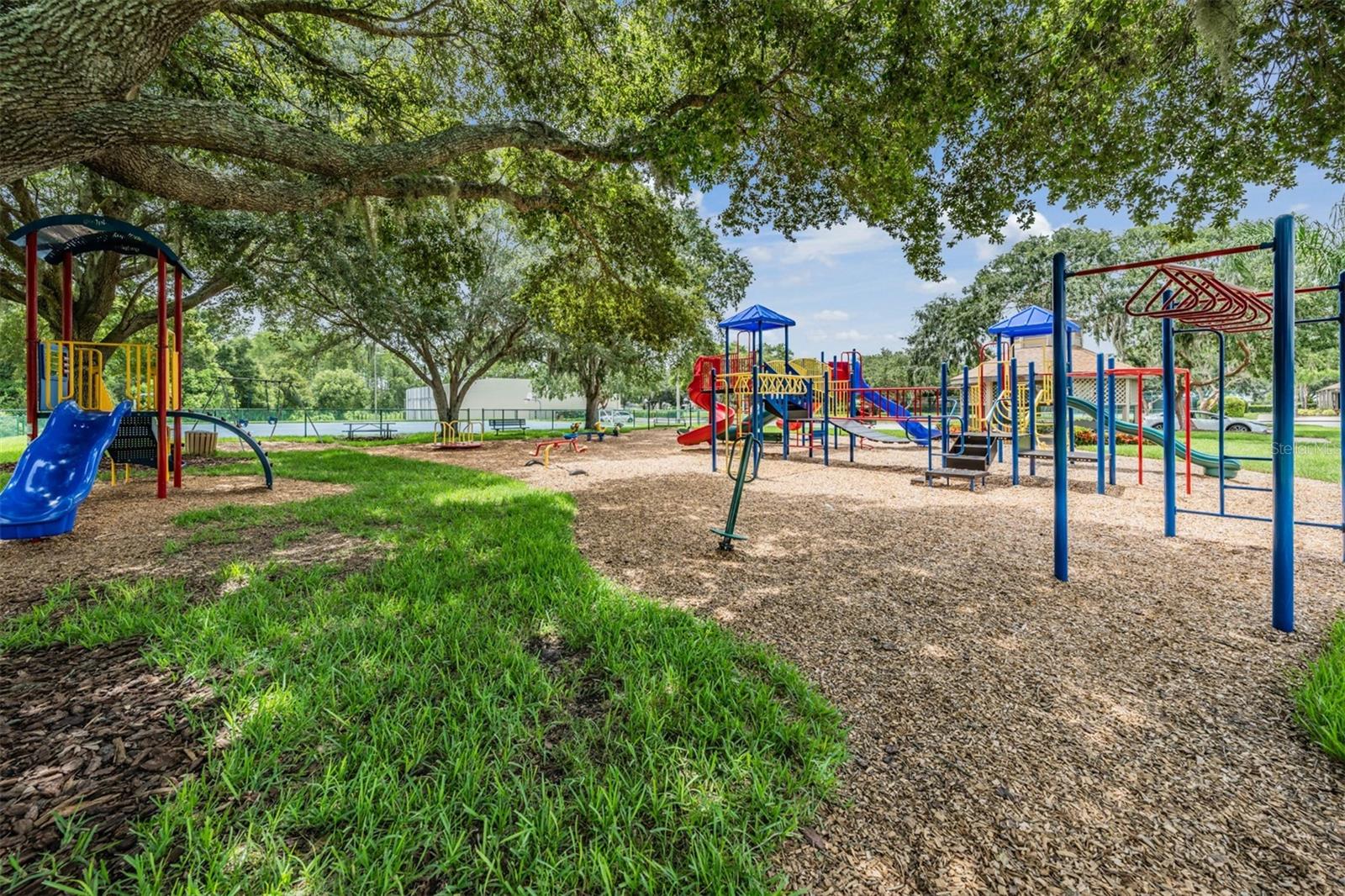 6504 THOROUGHBRED LOOP