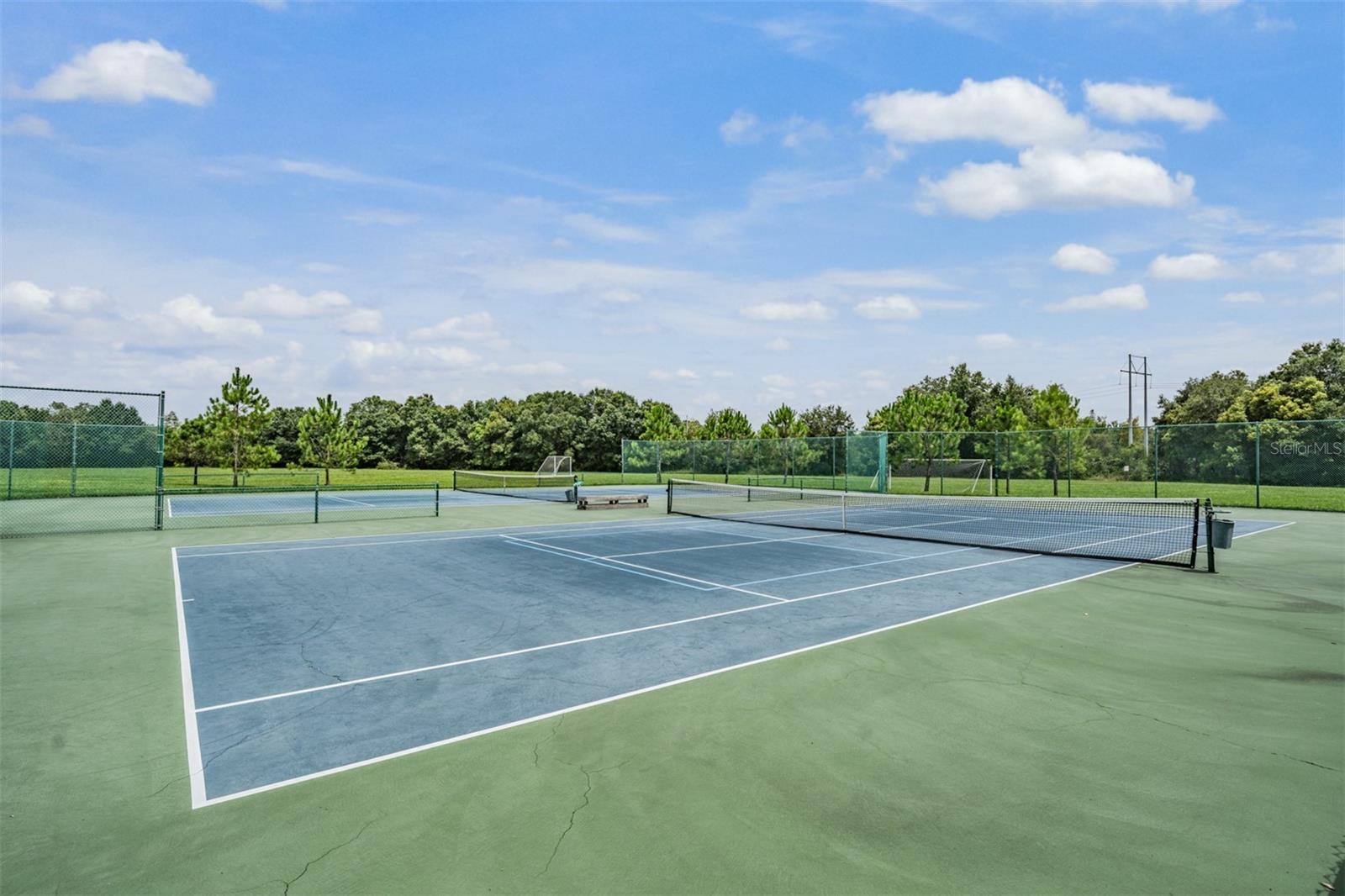 6504 THOROUGHBRED LOOP