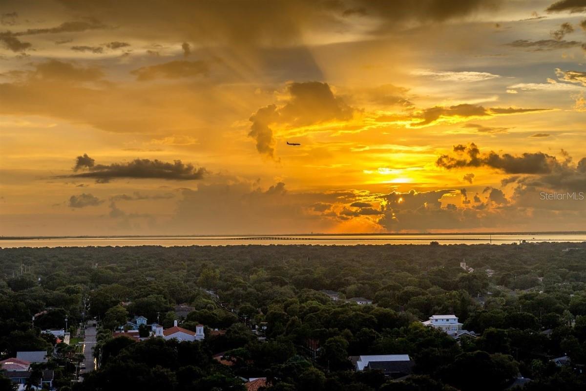 3301 BAYSHORE BLVD #1904D