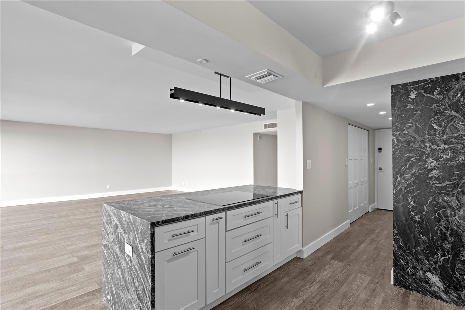 3301 BAYSHORE BLVD #806C