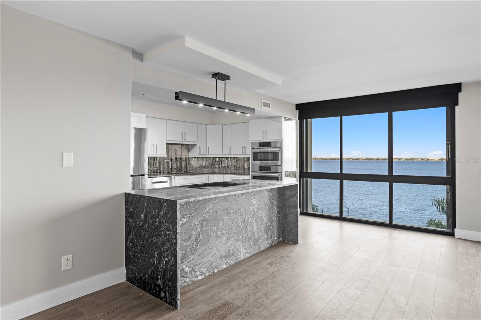 3301 BAYSHORE BLVD #806C