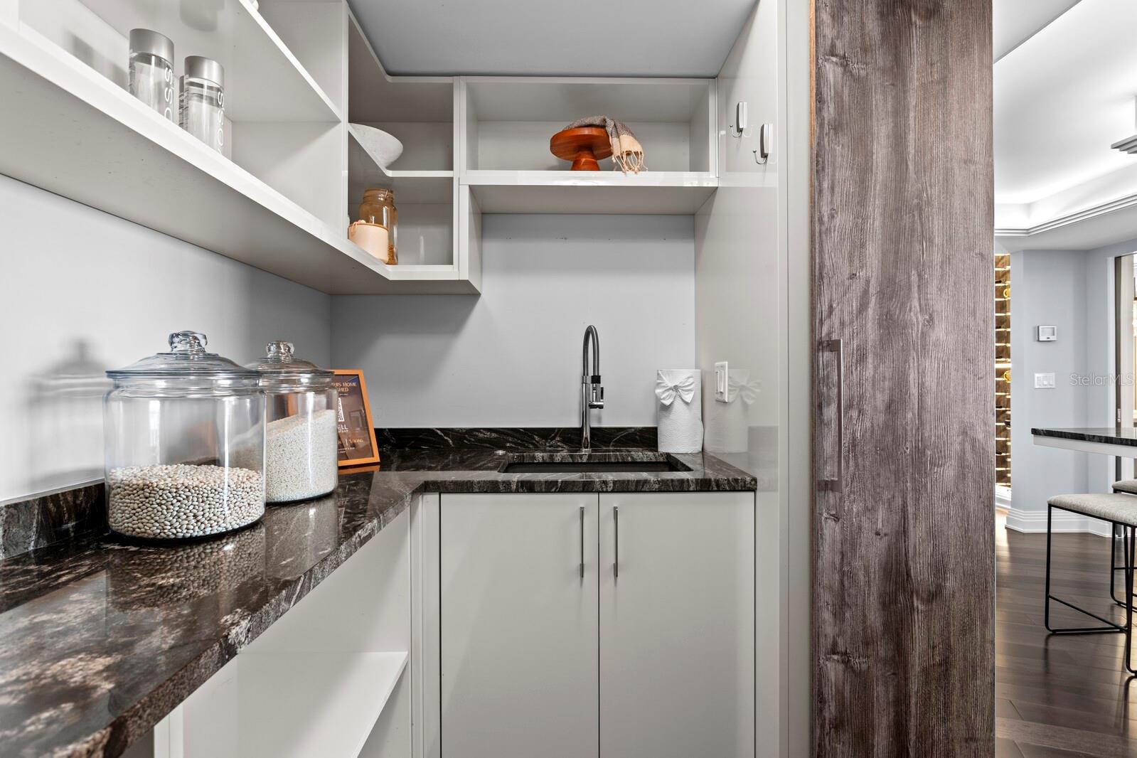 3301 BAYSHORE BLVD #2207B