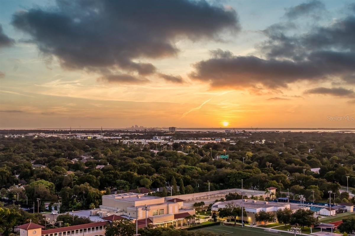 3301 BAYSHORE BLVD #2207B