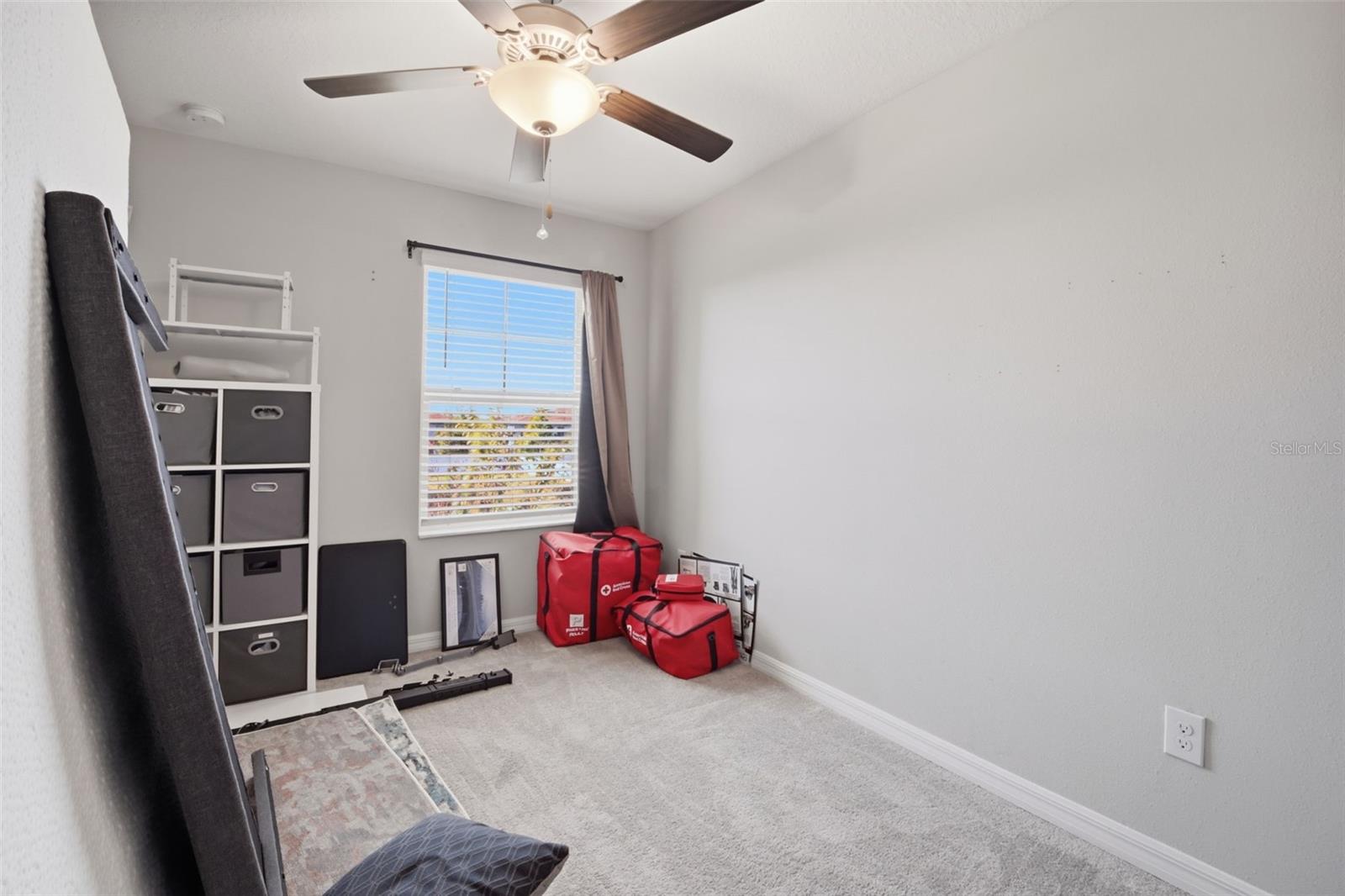 4459 GLOBE THISTLE DR
