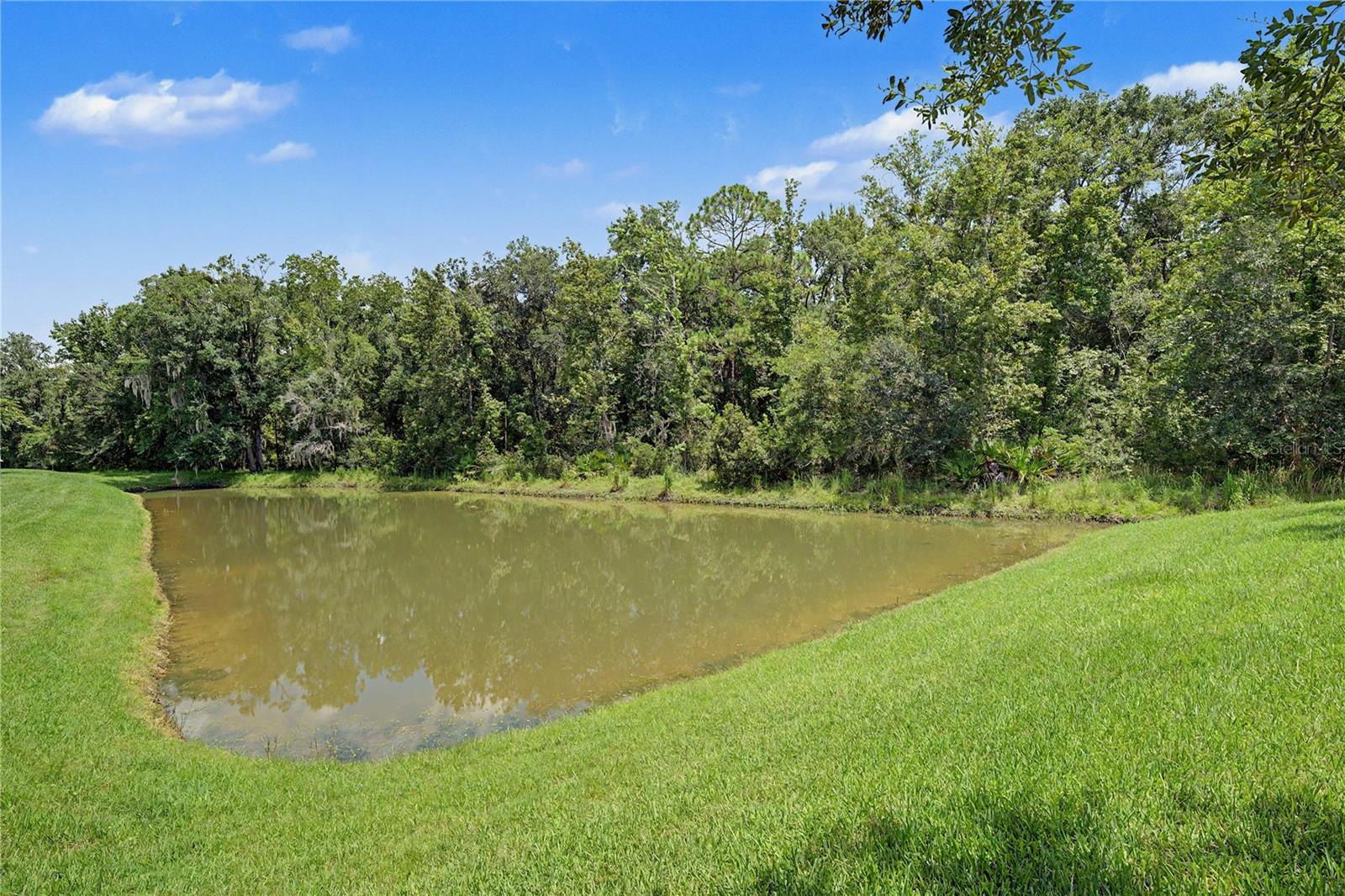 29079 OXMOOR CT