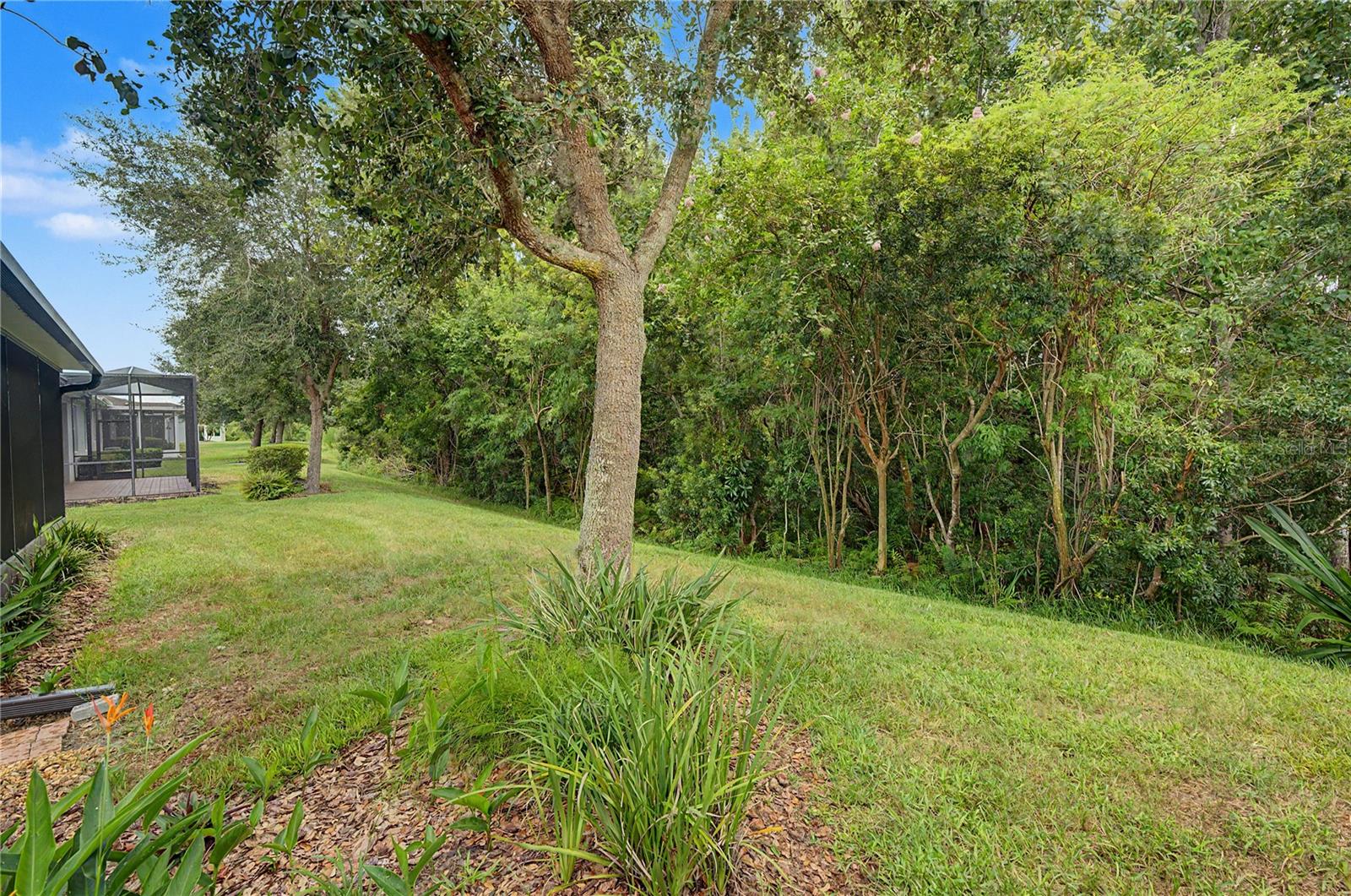 29358 GRASS BUNKER DR