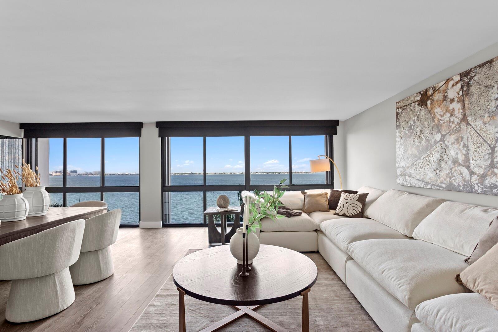 3301 BAYSHORE BLVD #806C