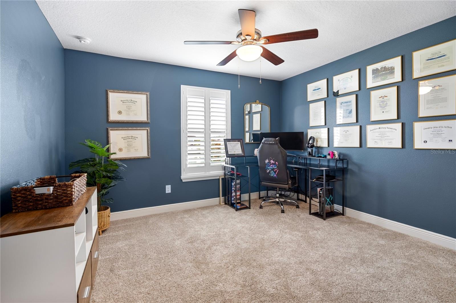 13125 FOXTAIL FERN DR