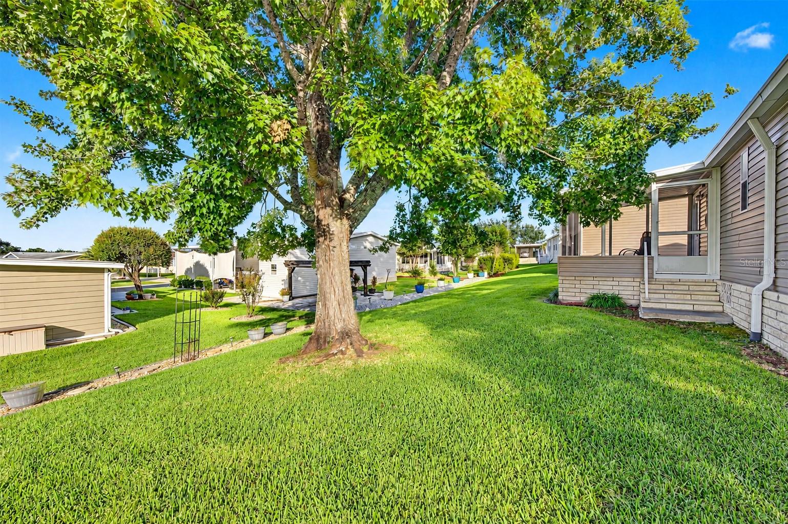 37633 COREY LEWIS AVE