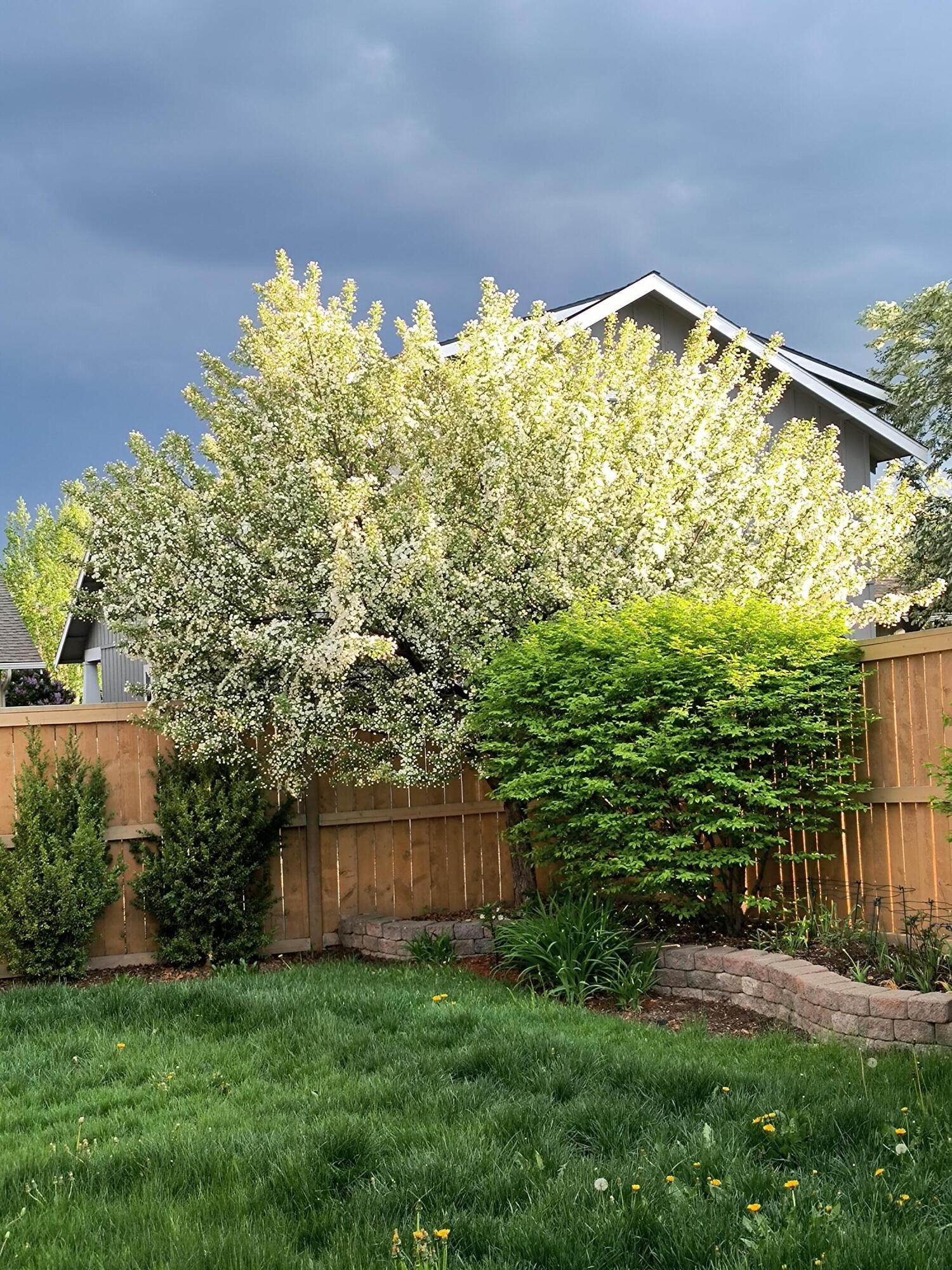 20609 Wild Goose Lane
