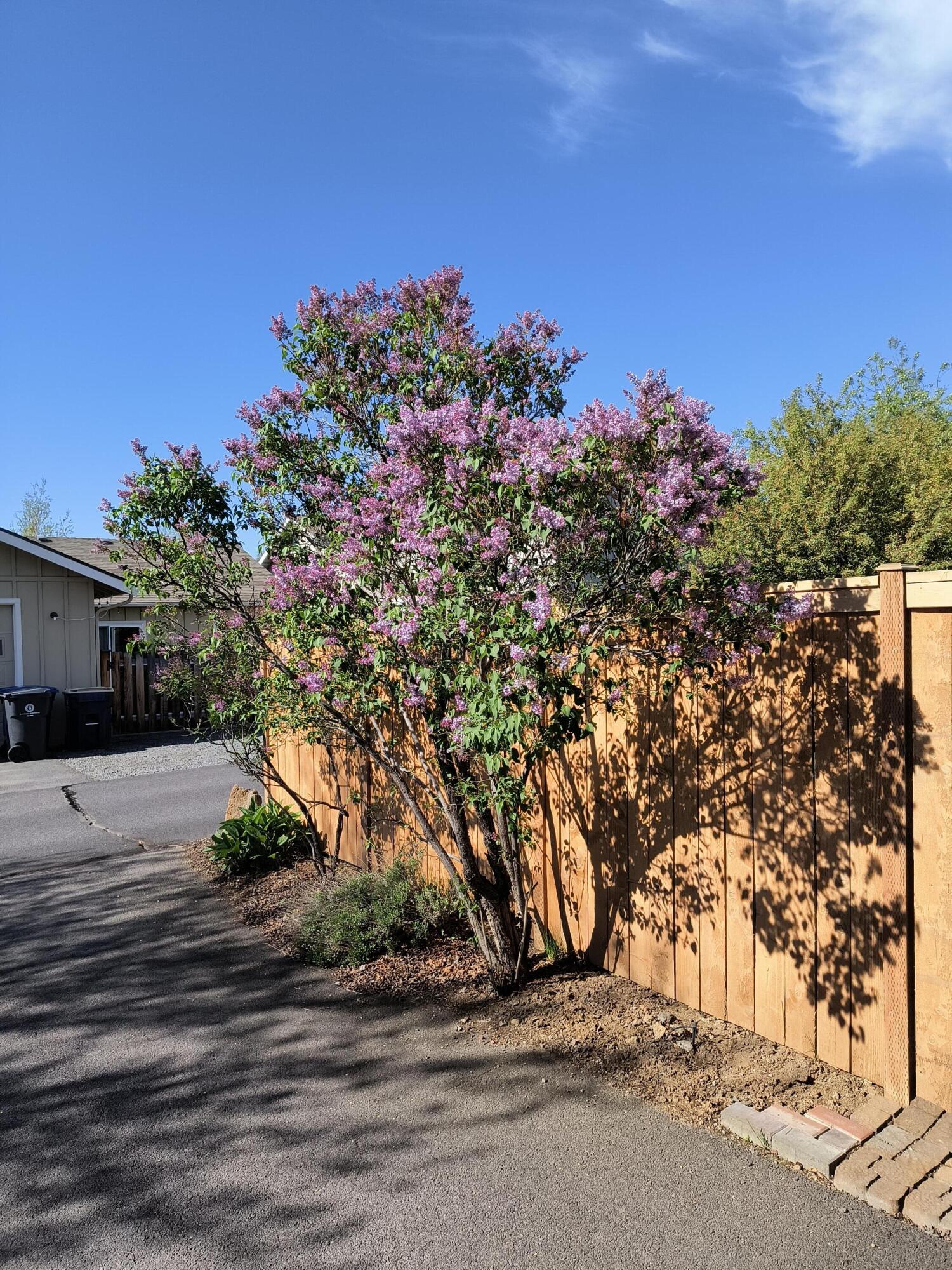 20609 Wild Goose Lane