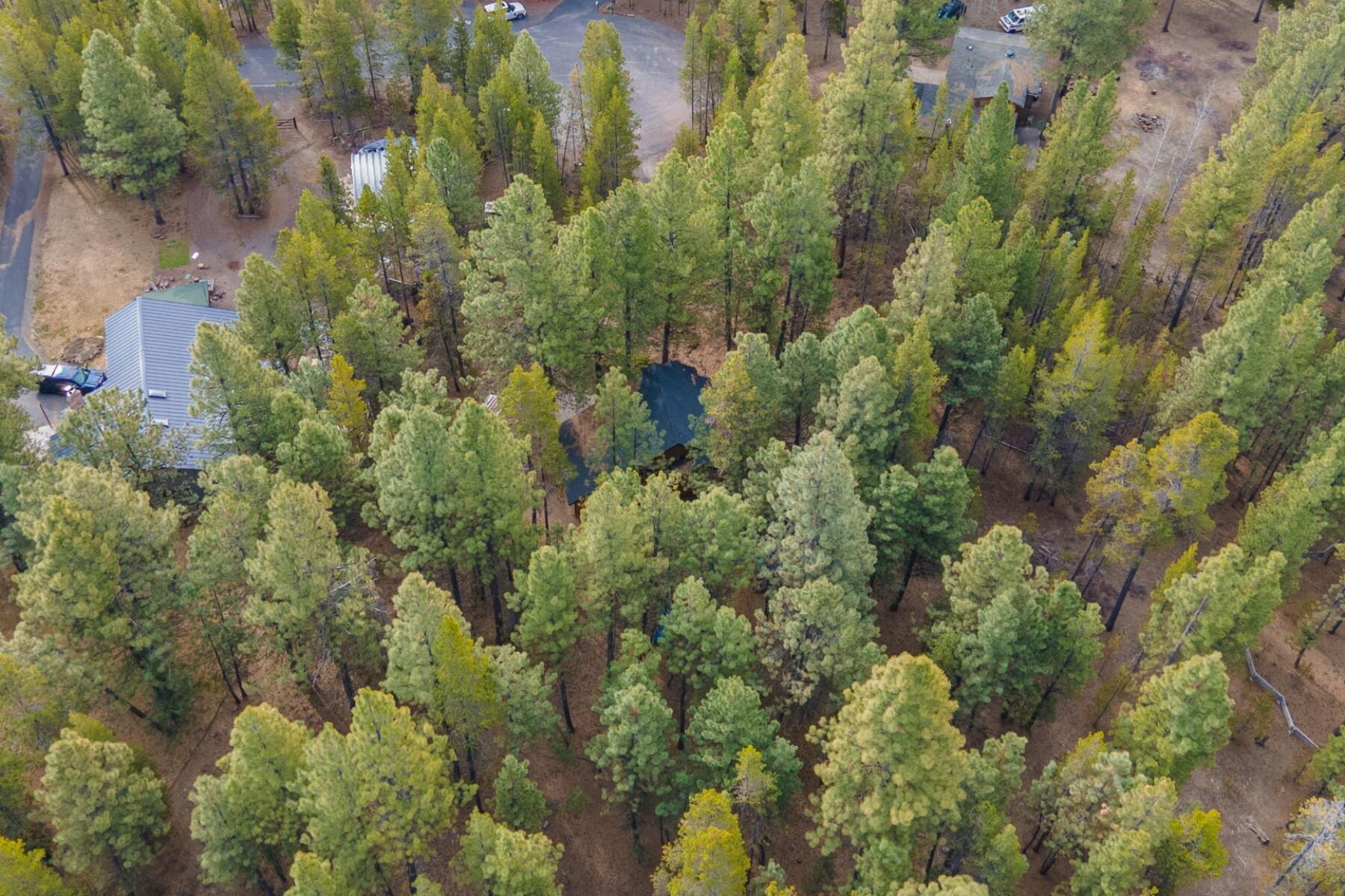 56721 Bandley Road