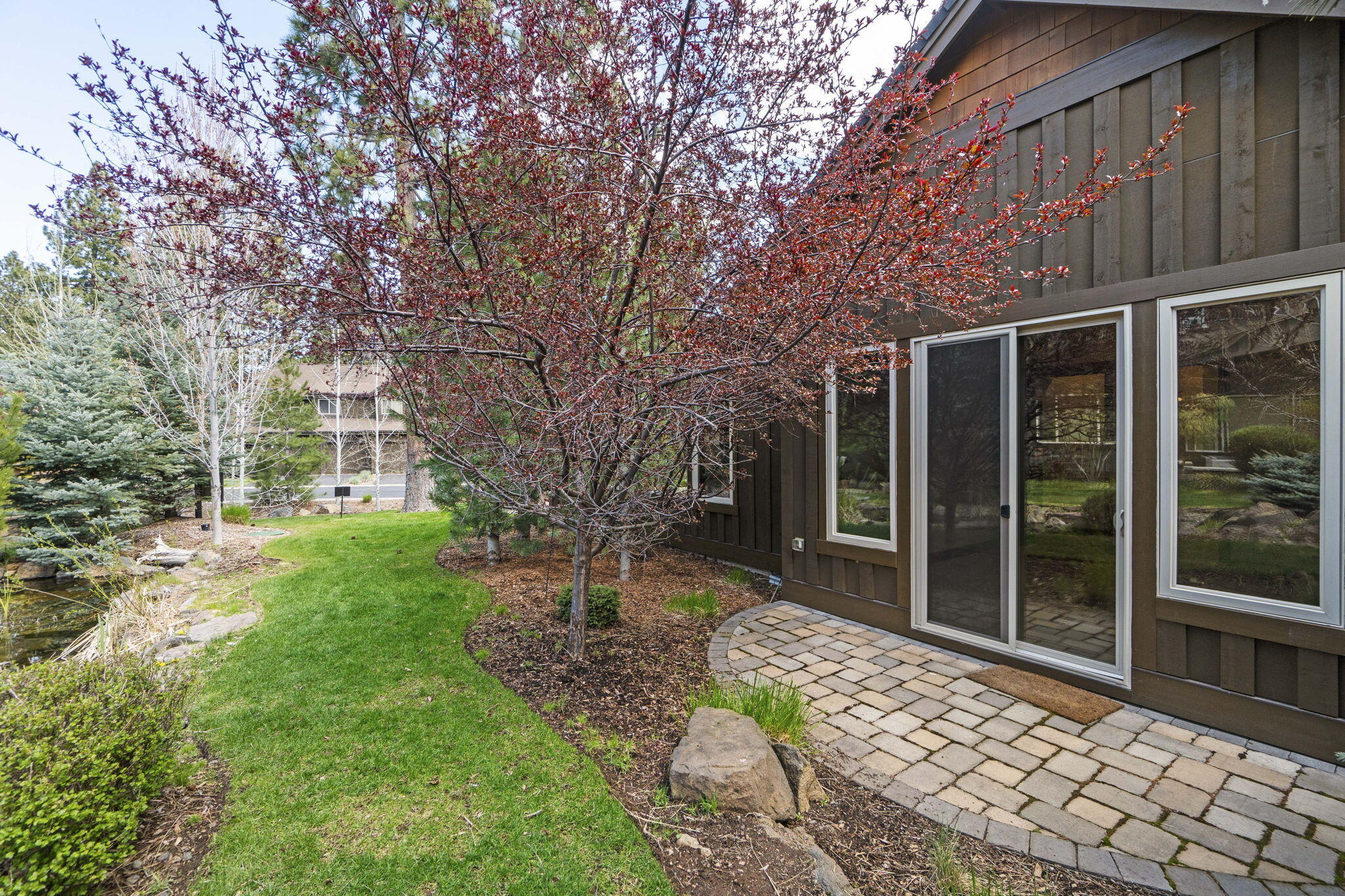 60447 Snap Shot Loop