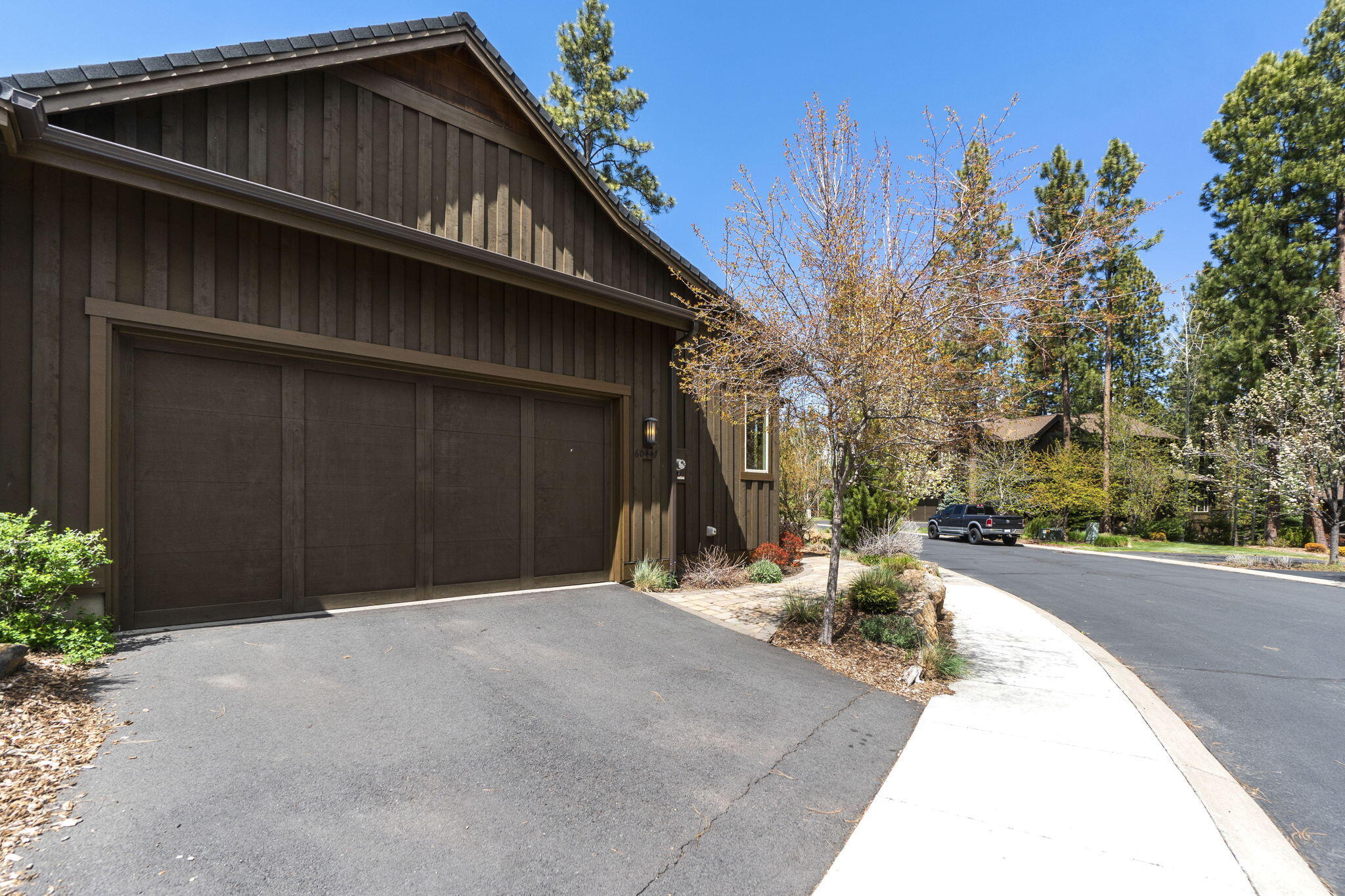 60447 Snap Shot Loop