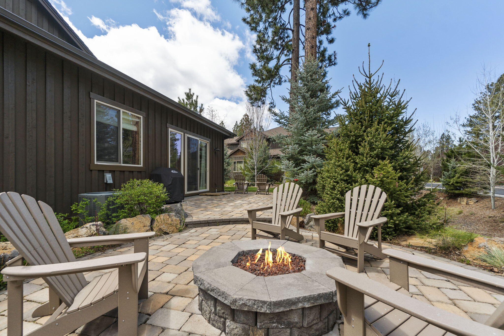 60447 Snap Shot Loop