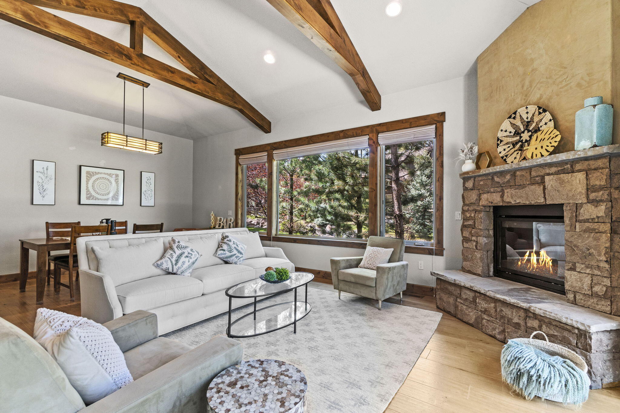 60447 Snap Shot Loop