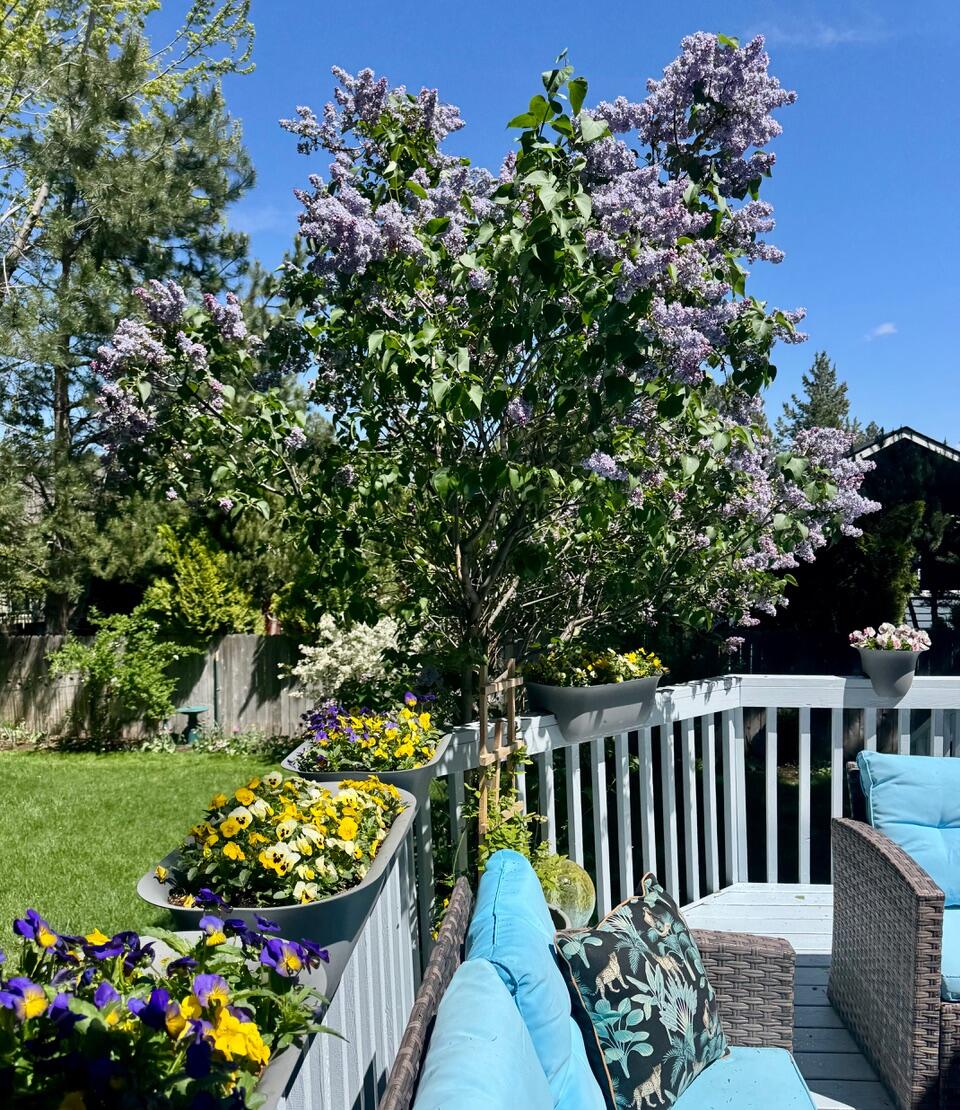 922 SE Sunwood Court