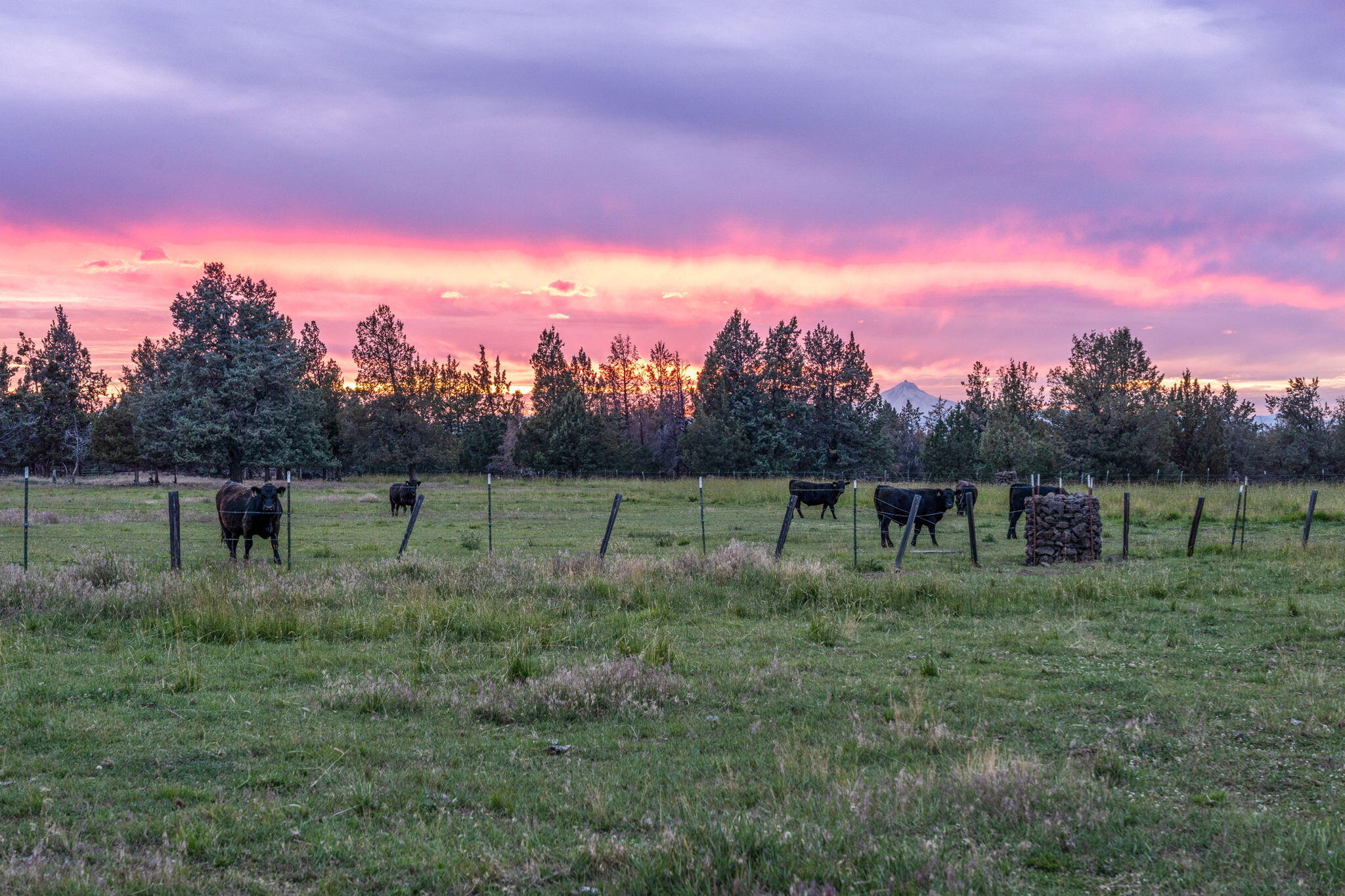 4743 NW Maple Avenue