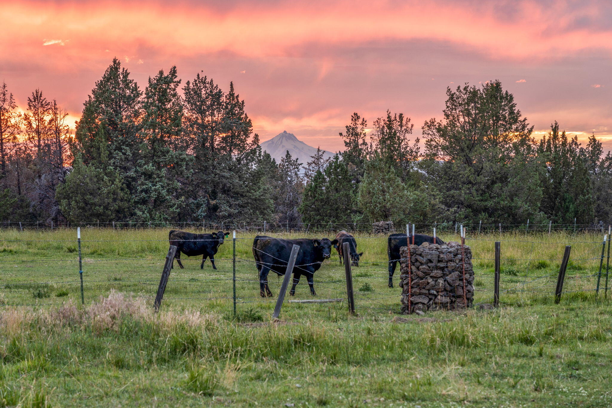 4743 NW Maple Avenue