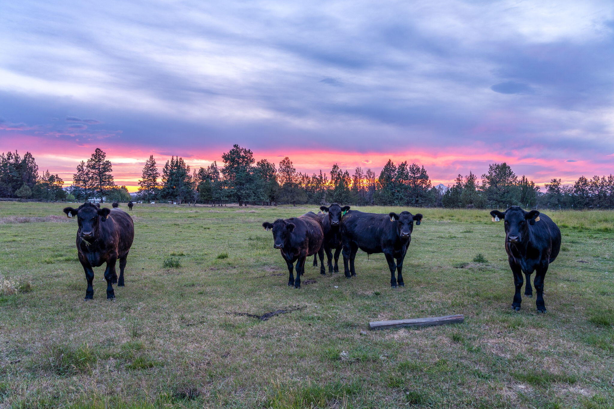 4743 NW Maple Avenue