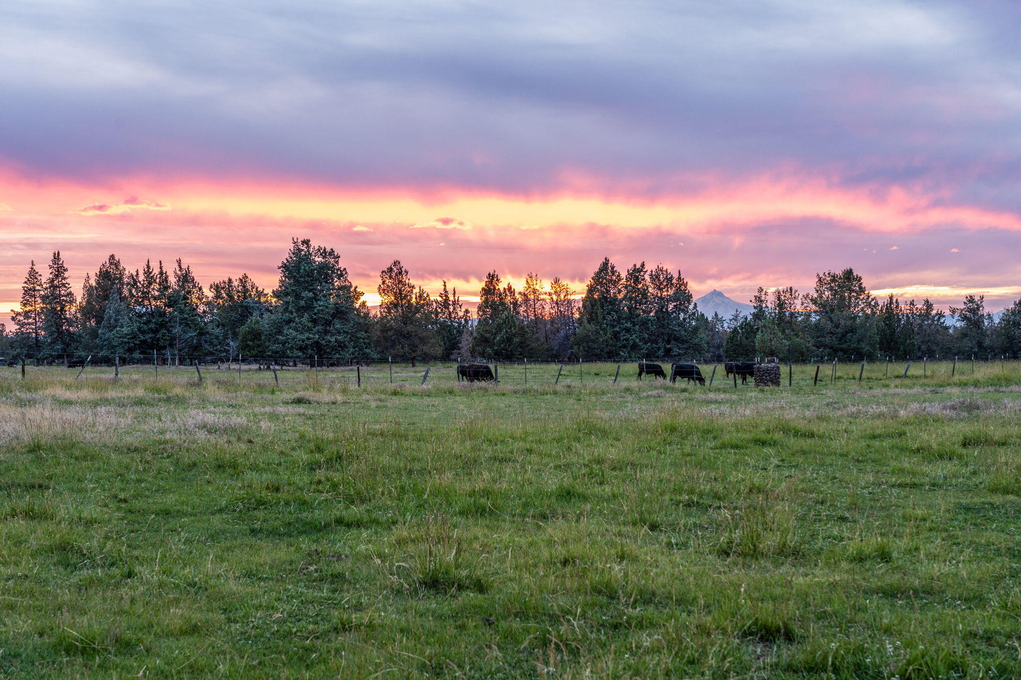 4743 NW Maple Avenue