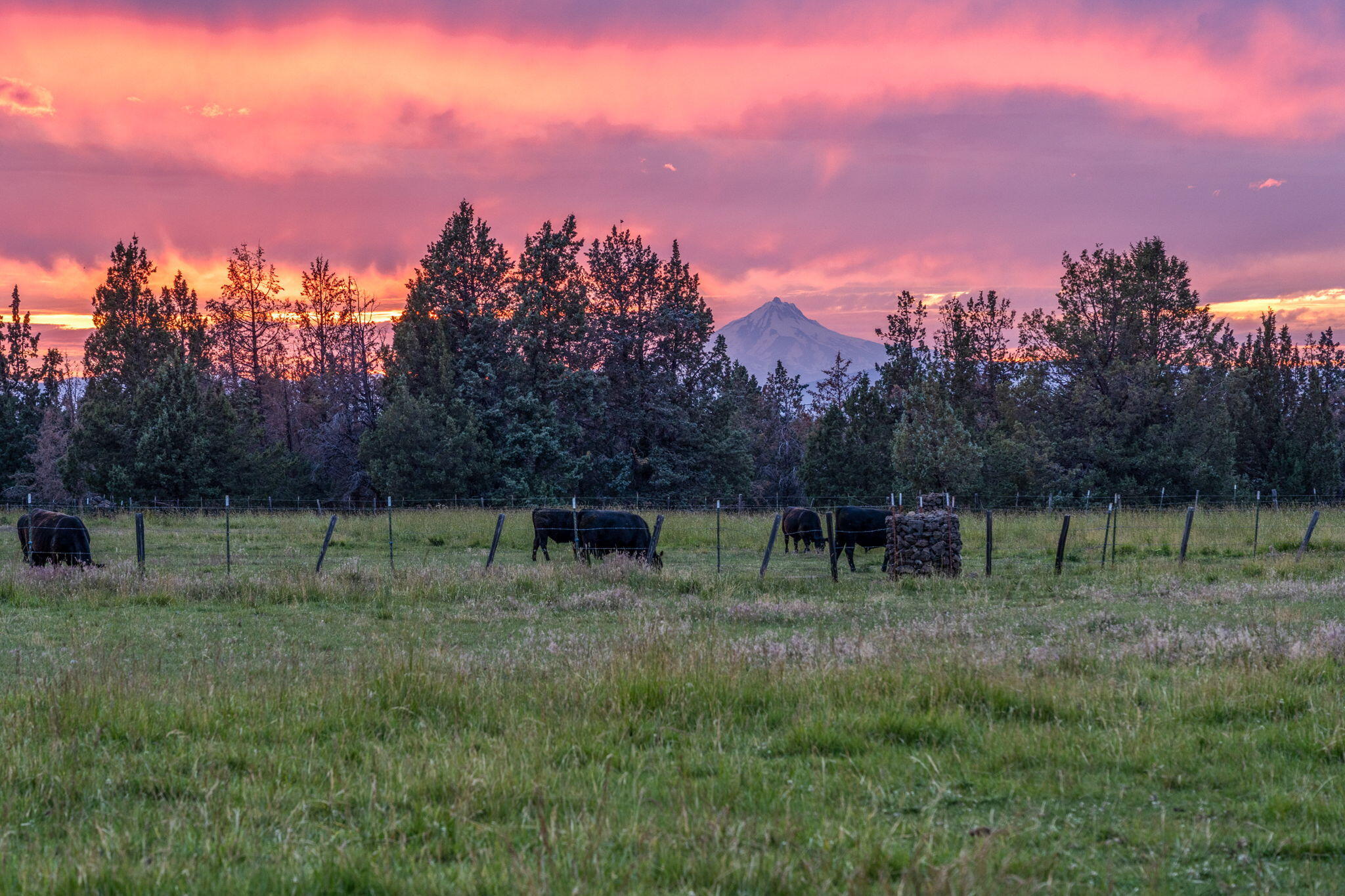 4743 NW Maple Avenue