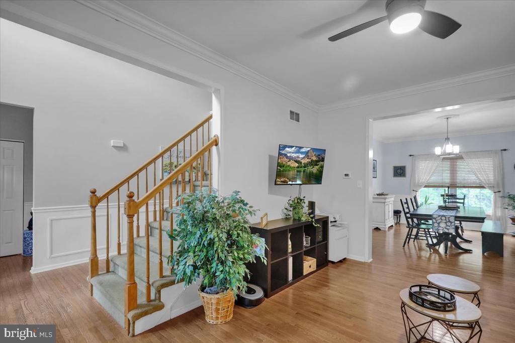 110 CLARION DRIVE
