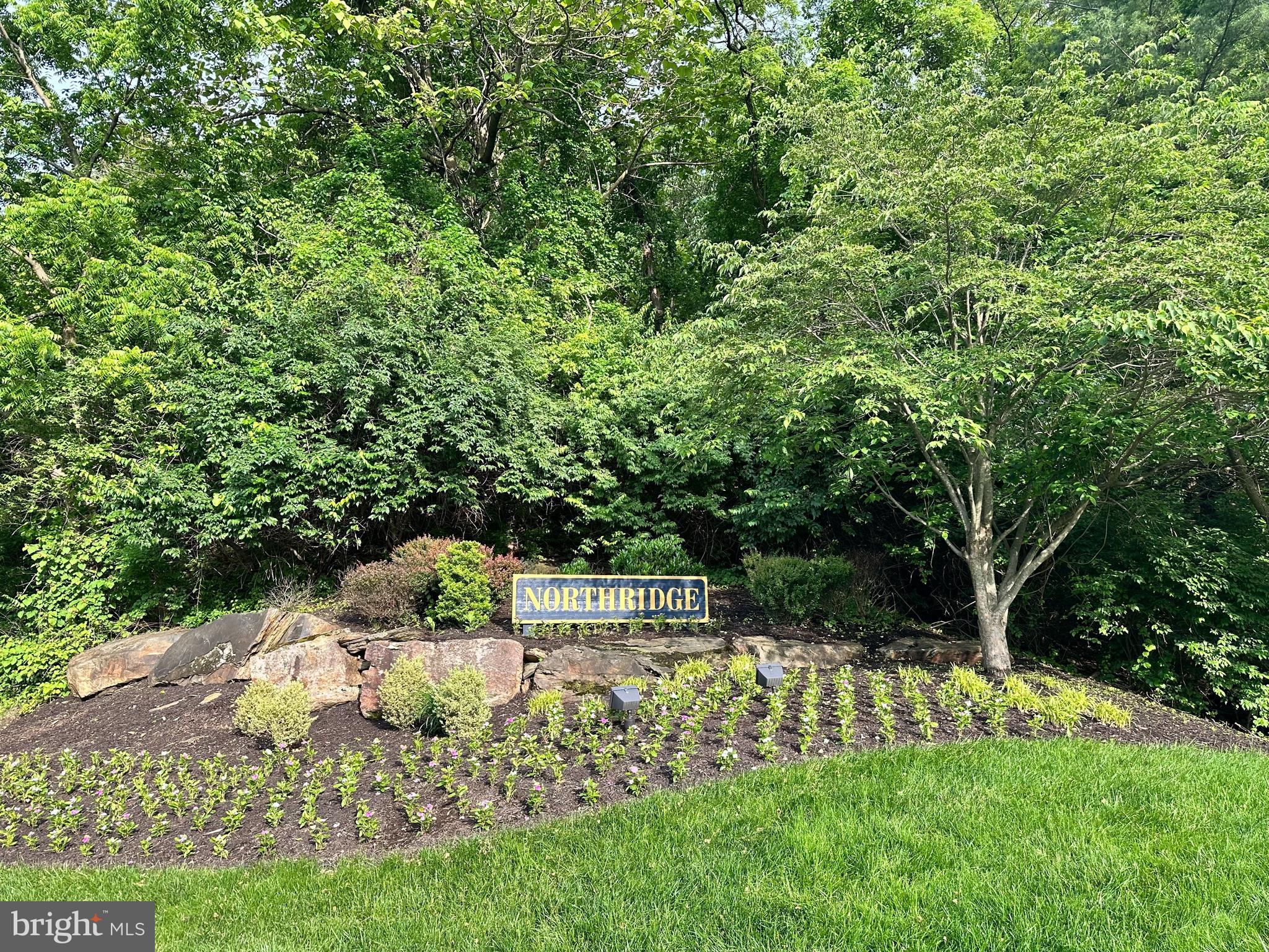 155 WEYBRIDGE DR