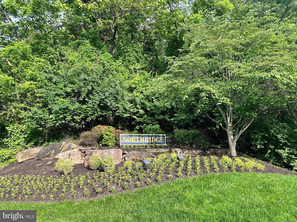 155 WEYBRIDGE DRIVE