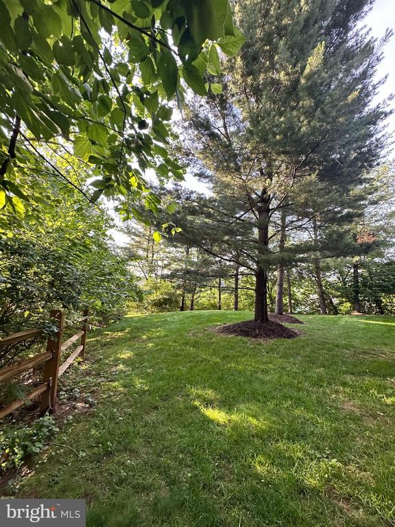 155 WEYBRIDGE DRIVE