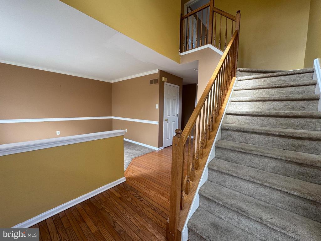 25 CASTLE DRIVE