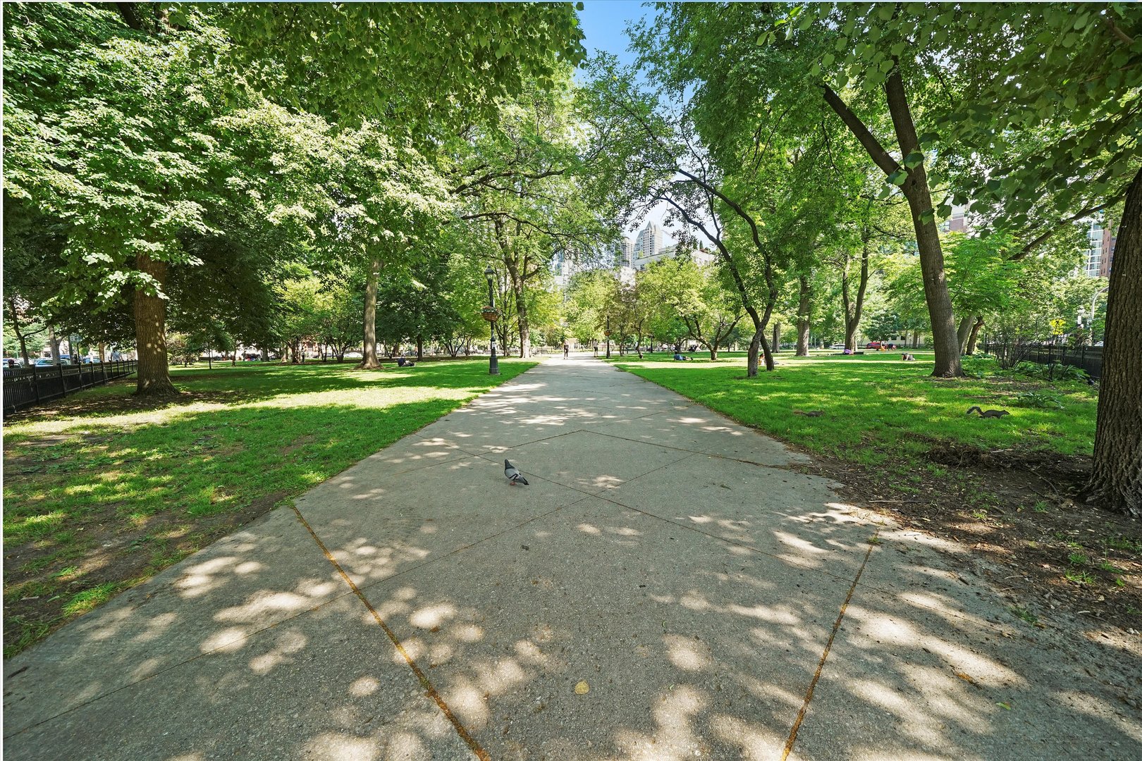 123 W Oak Street Unit: N