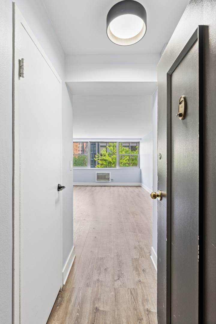 253 E DELAWARE Place Unit: 4D