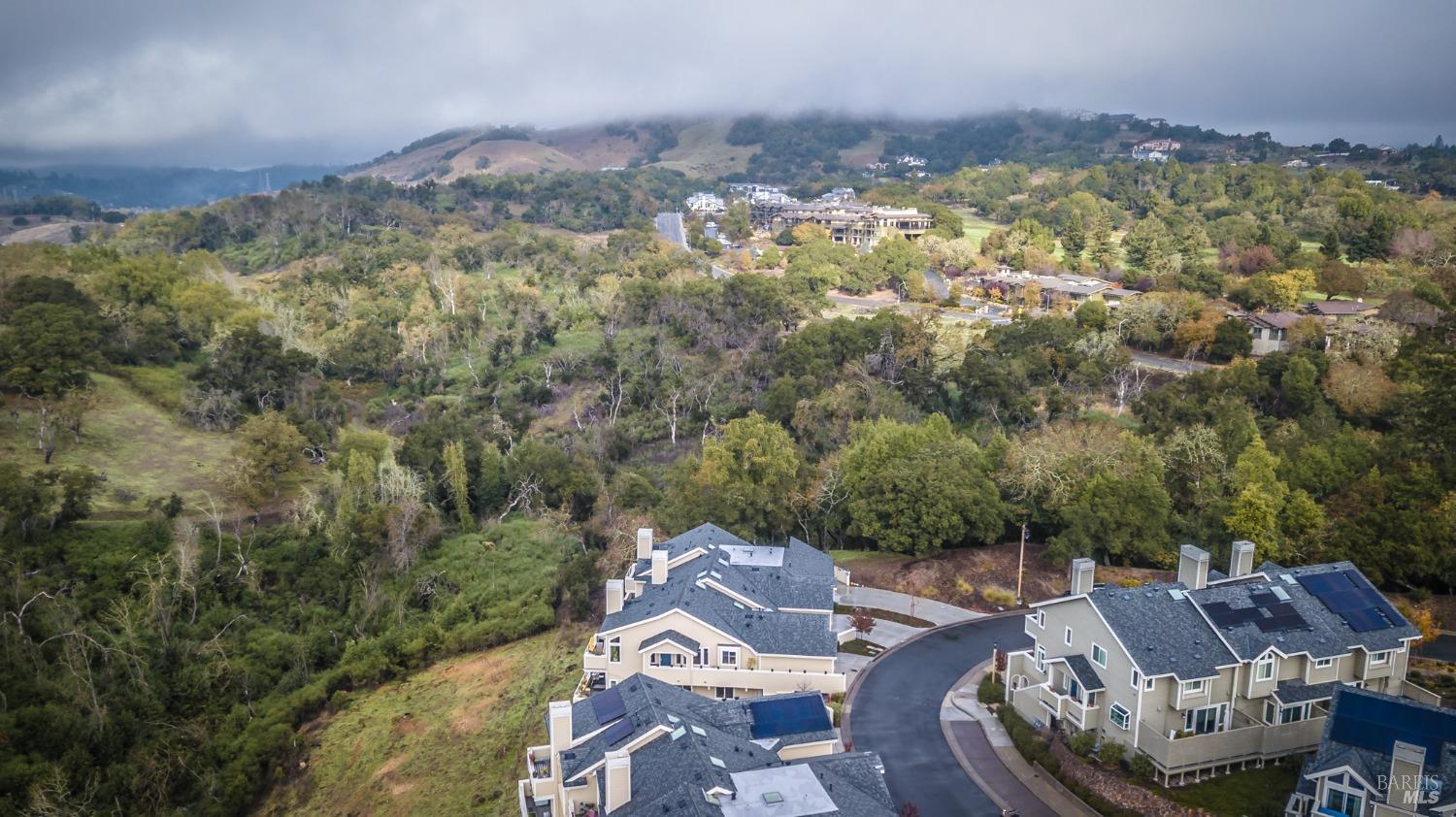 2089 Stonefield Lane